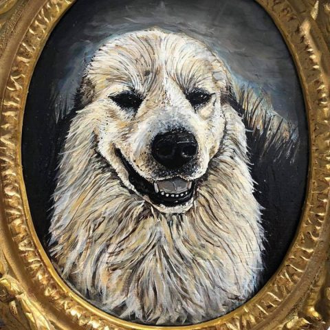Portrait of a Rez Dog 1