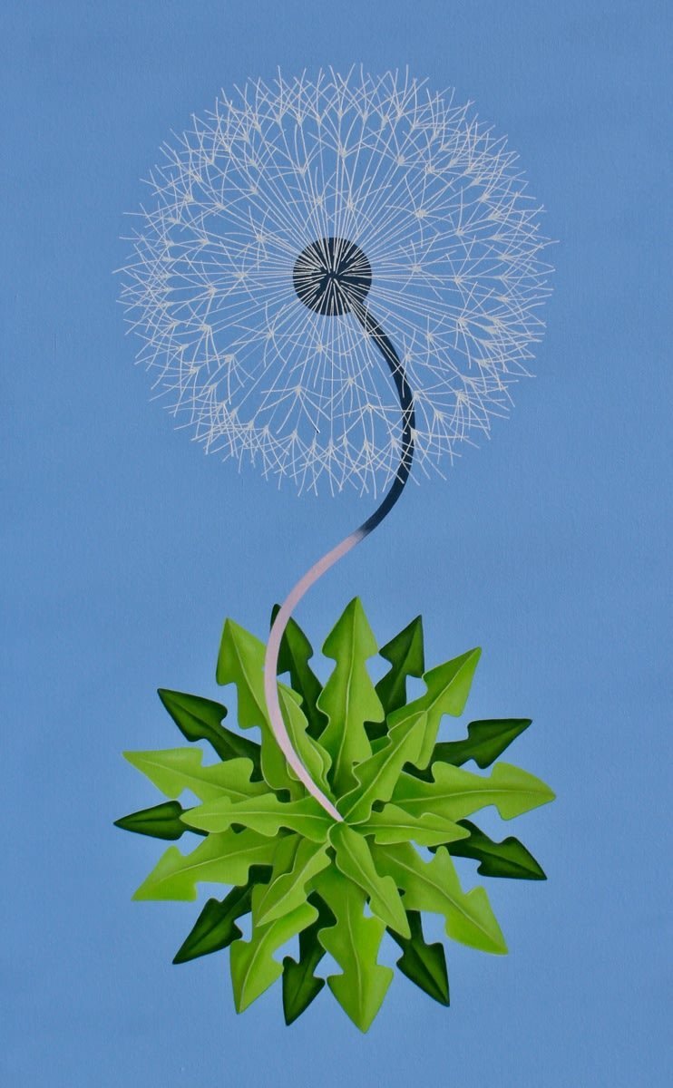 Childhood Dandelion