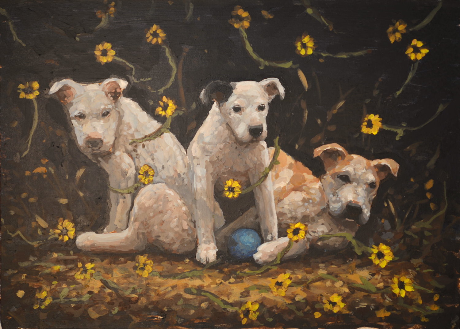 3 Rez Dogs with a Handball