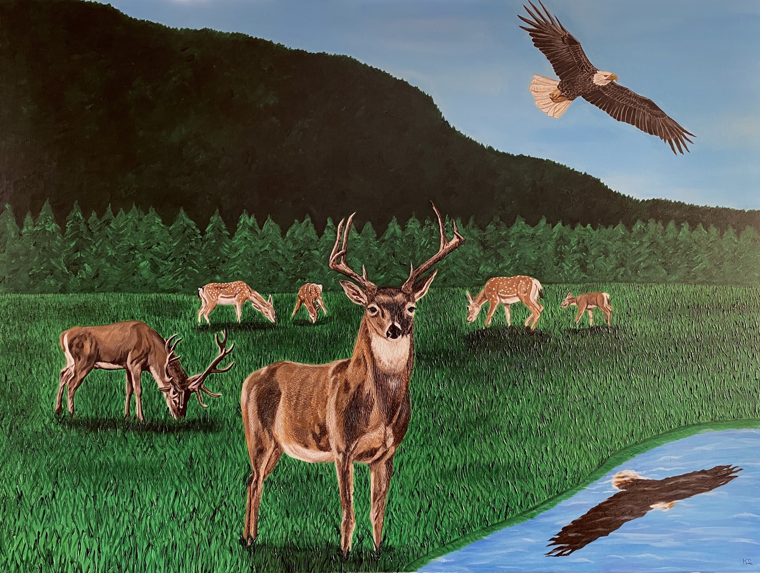 The Joy & Beauty In The Freedom Of Nature