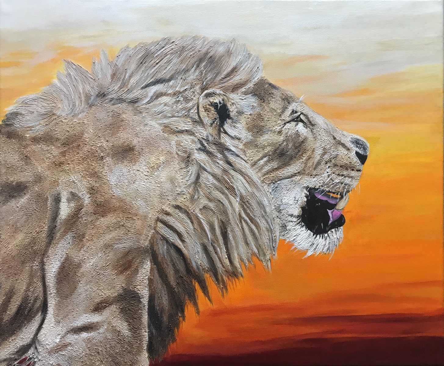 The Call Of The Wild