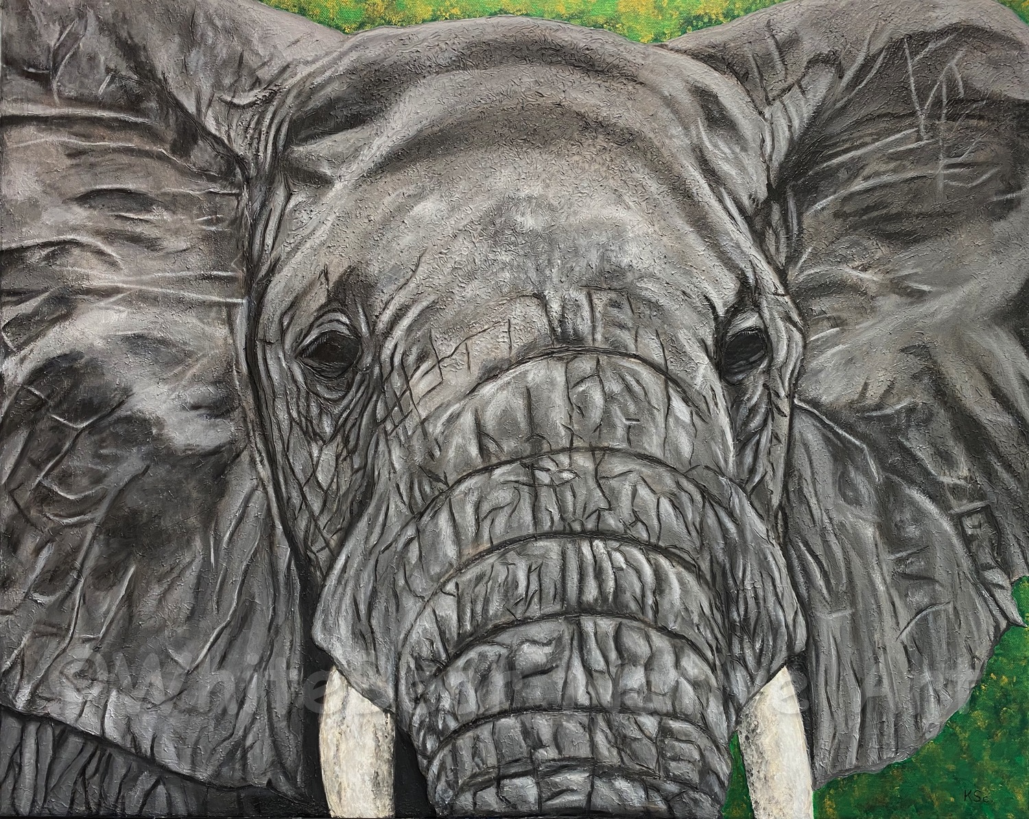 Such Magnificent Beauty