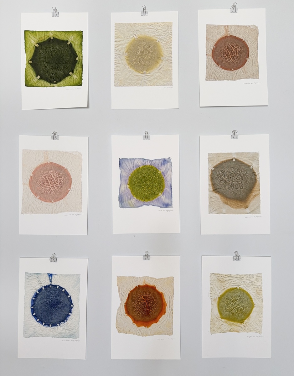 Chromatic Ecology (Price is for each piece)