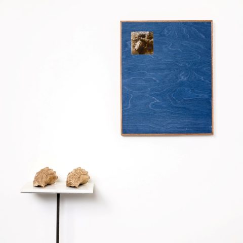 Mississippian Tattooed Shells #1